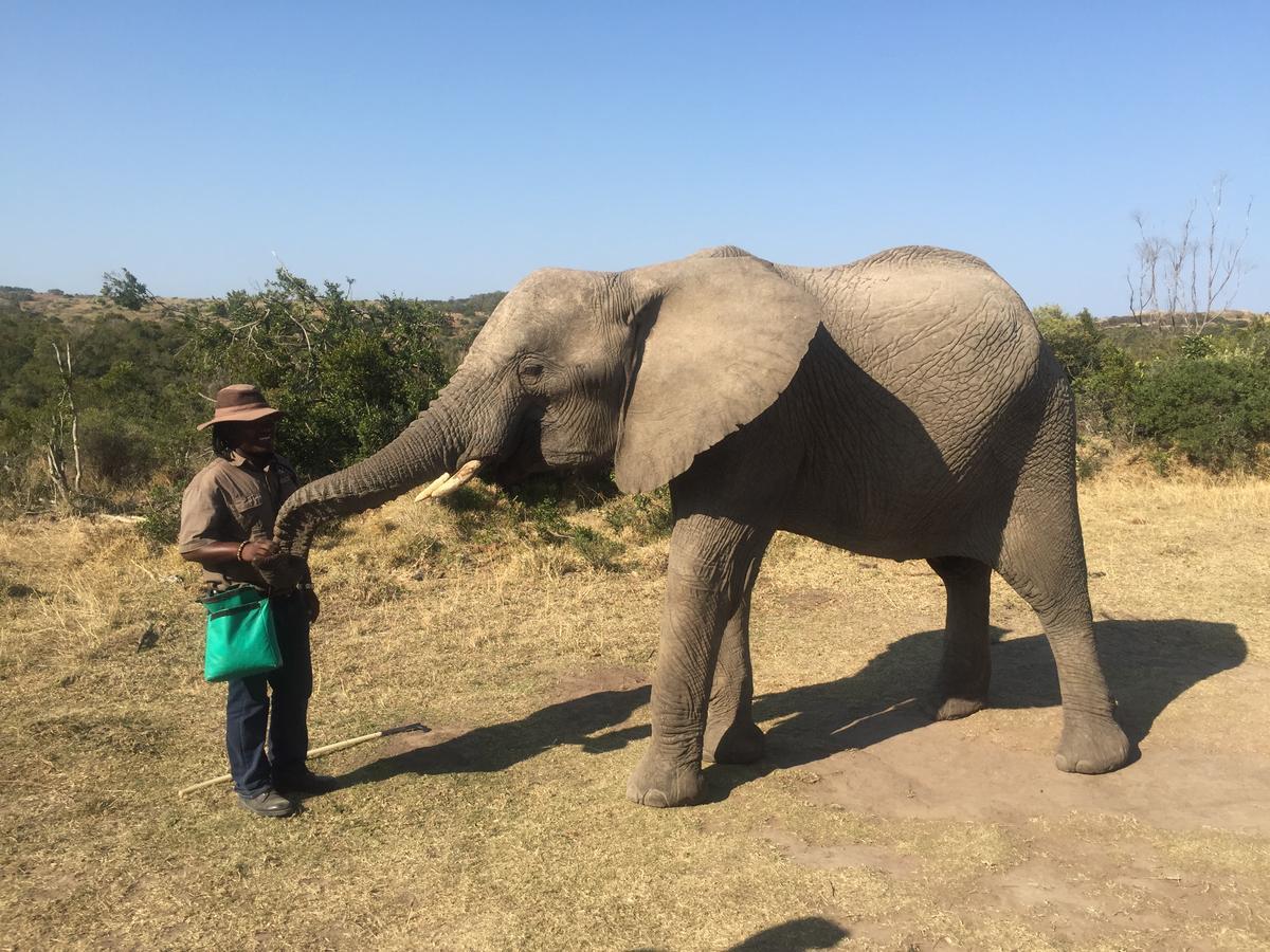 African Crags Eco-Lodge The Crags ภายนอก รูปภาพ